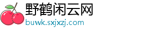 野鹤闲云网